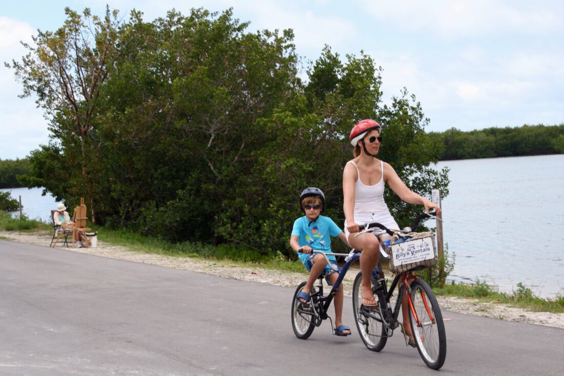 Refuge’s Art in the Wild to feature painting competition News, Sports